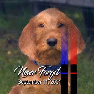 Meet your Posher, Christi